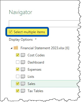 Fragment of the Power Query Navigator window. "Select multiple items" option is checked and highlighted. Four sheets - Cost Codes, Expenses, Sales, and Tax Tables are checked. 