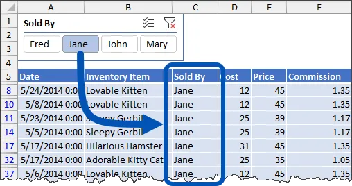 Fragment of an Excel worksheet with an official Excel table and a Slicer based on the Sold By column above the table, with the name Jane selected in the Slicer and the table's Sold By column filtered to only Jane.