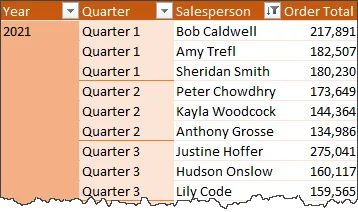 Pivot table showing 'Order Total' by 'Salesperson', 'Year' and 'Quarter'. Year label appears only once, and Quarter labels are repeated in each row.