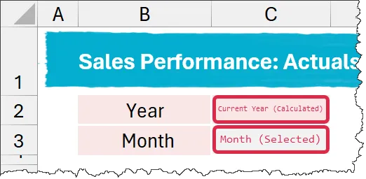 Budget vs Actual dashboard user selection cells