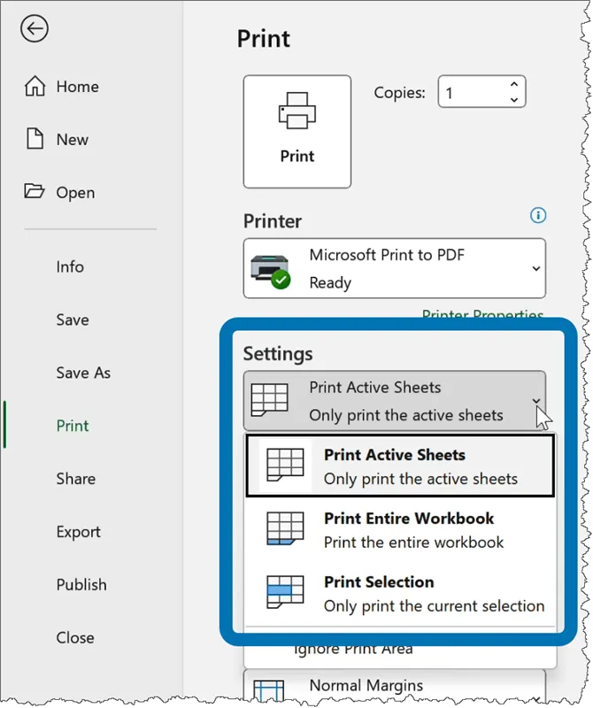 Excel Print Settings - selecting what part of an Excel file to print.