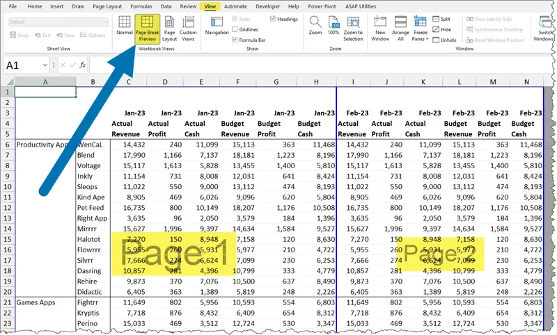 Page Break Preview display in Excel