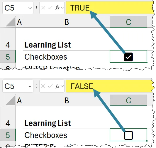 Excel Checkbox True and False States