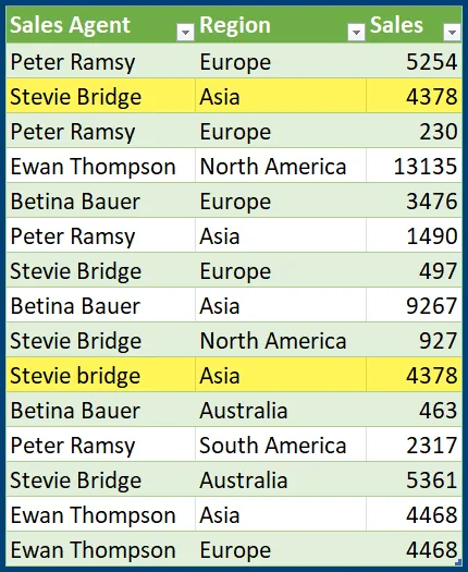 Excel table comprising 3 columns (Sales Agent, Region and Sales) with two rows highlighted: "Stevie Bridge"-"Asia"-"4378" and "Stevie bridge"-"Asia"-"4378". The only difference being upper and lower case B in Bridge.