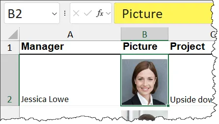 Displaying the Excel Formula Bar contents of a cell that contains an image